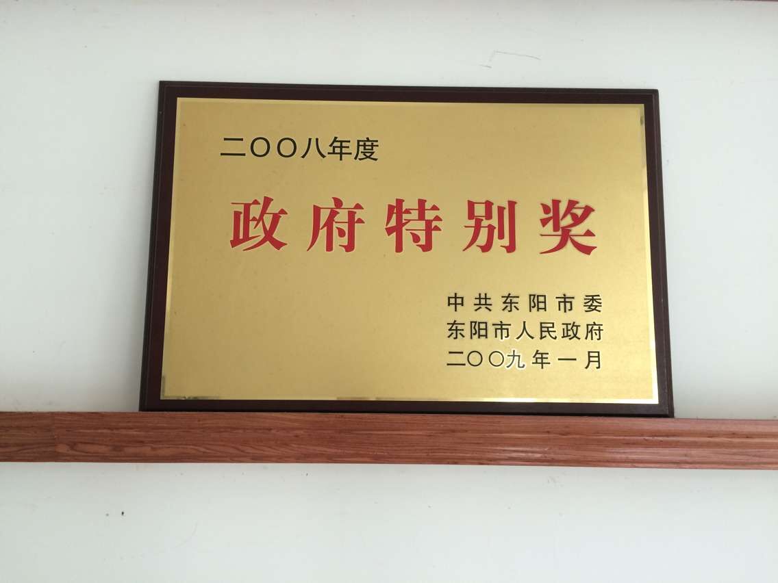 政府特別獎